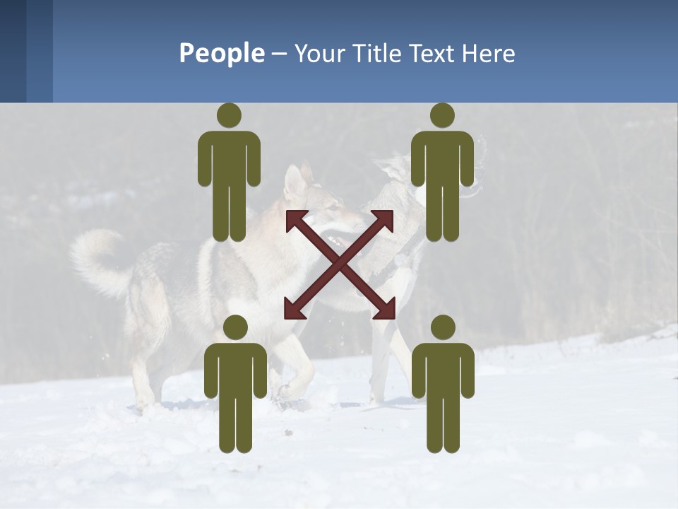 A Couple Of Dogs That Are In The Snow PowerPoint Template