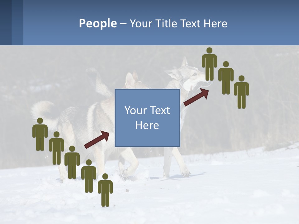 A Couple Of Dogs That Are In The Snow PowerPoint Template