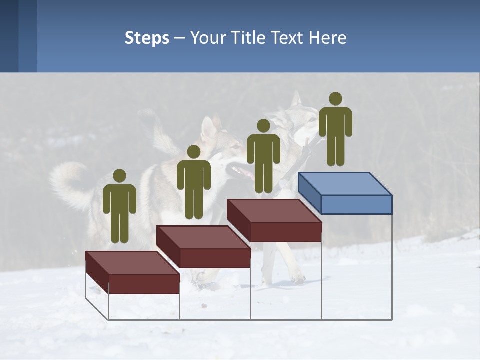 A Couple Of Dogs That Are In The Snow PowerPoint Template