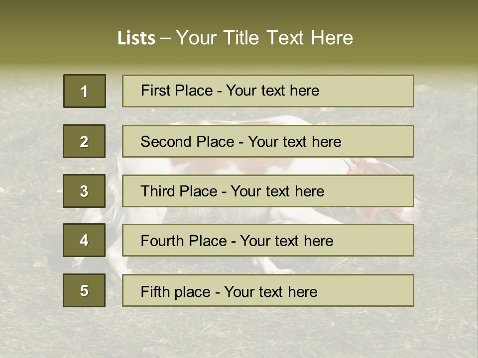 A Brown And White Dog Walking Across A Grass Covered Field PowerPoint Template