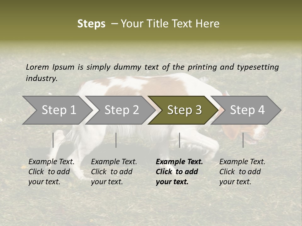 A Brown And White Dog Walking Across A Grass Covered Field PowerPoint Template