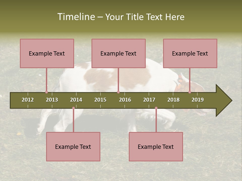 A Brown And White Dog Walking Across A Grass Covered Field PowerPoint Template