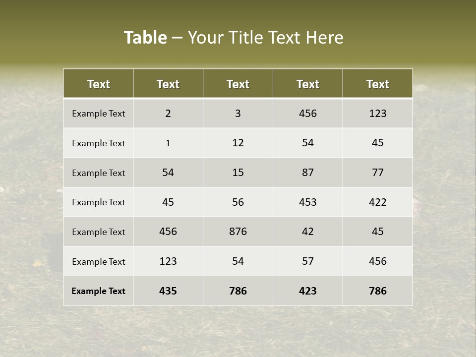A Brown And White Dog Walking Across A Grass Covered Field PowerPoint Template