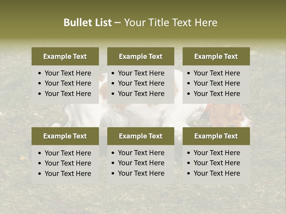 A Brown And White Dog Walking Across A Grass Covered Field PowerPoint Template