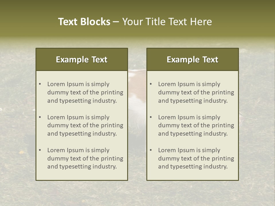 A Brown And White Dog Walking Across A Grass Covered Field PowerPoint Template