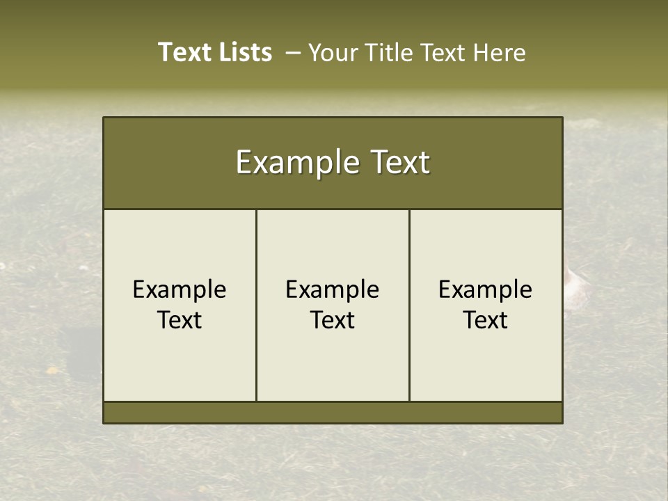 A Brown And White Dog Walking Across A Grass Covered Field PowerPoint Template