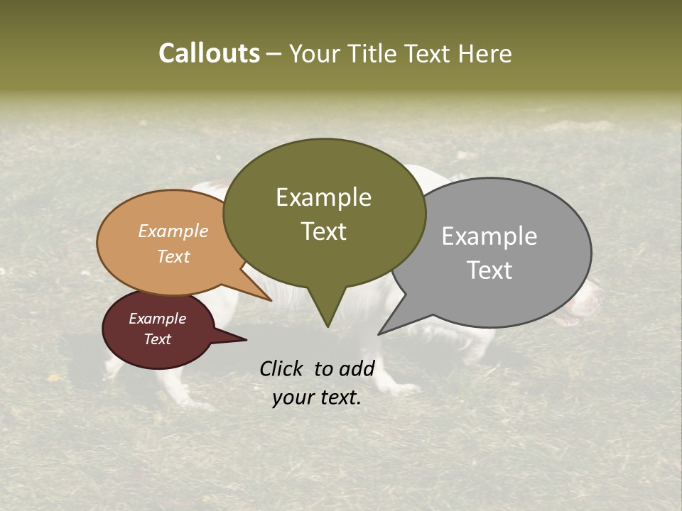 A Brown And White Dog Walking Across A Grass Covered Field PowerPoint Template