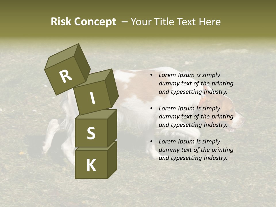 A Brown And White Dog Walking Across A Grass Covered Field PowerPoint Template