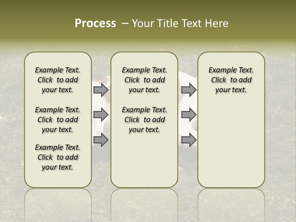 A Brown And White Dog Walking Across A Grass Covered Field PowerPoint Template