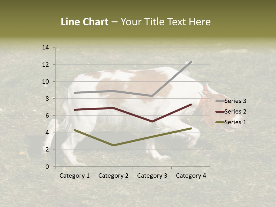 A Brown And White Dog Walking Across A Grass Covered Field PowerPoint Template