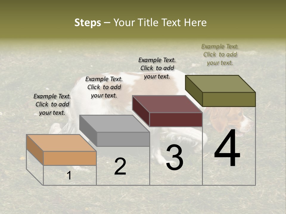 A Brown And White Dog Walking Across A Grass Covered Field PowerPoint Template