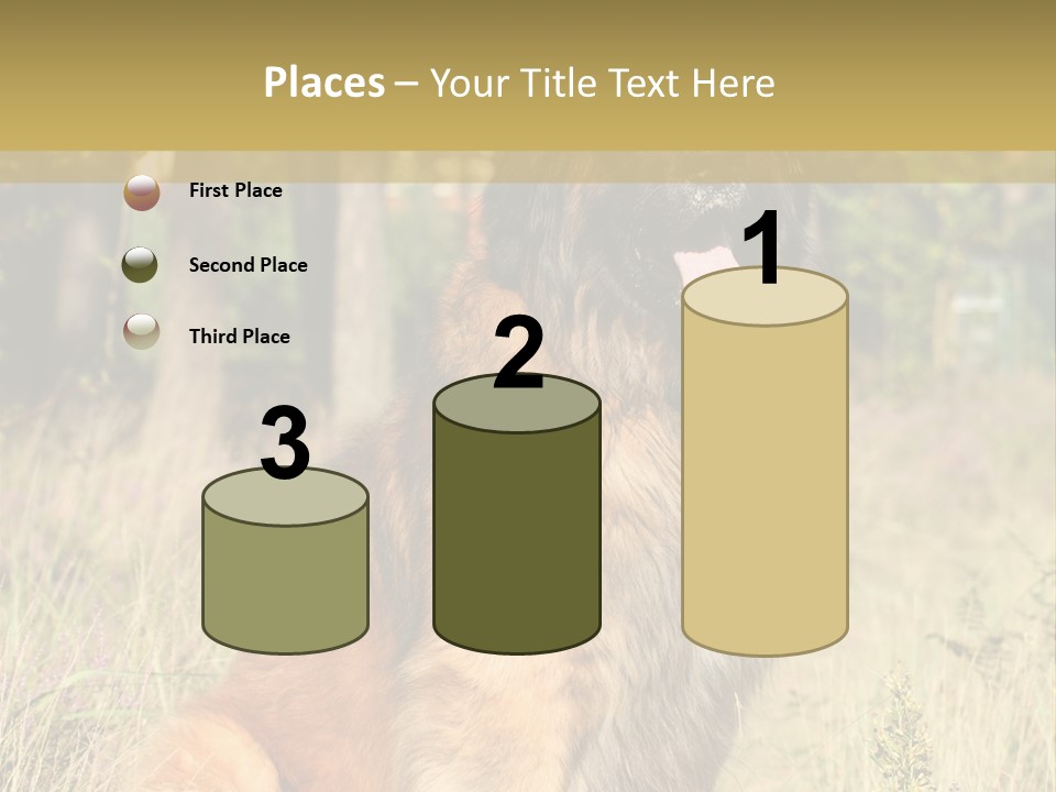 A Large Brown Dog Sitting In The Grass PowerPoint Template