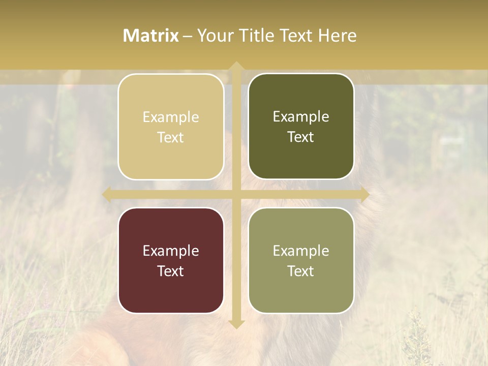 A Large Brown Dog Sitting In The Grass PowerPoint Template