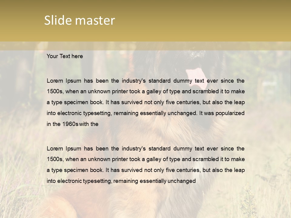 A Large Brown Dog Sitting In The Grass PowerPoint Template