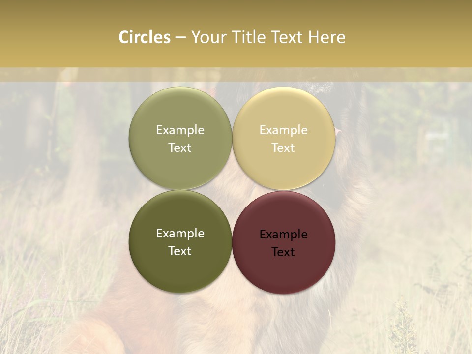 A Large Brown Dog Sitting In The Grass PowerPoint Template