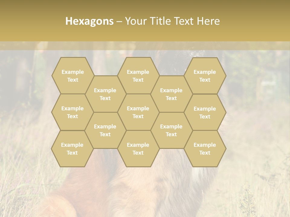 A Large Brown Dog Sitting In The Grass PowerPoint Template