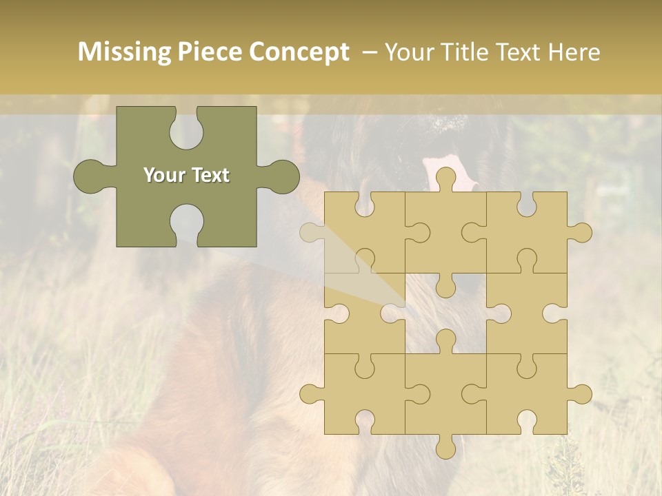 A Large Brown Dog Sitting In The Grass PowerPoint Template
