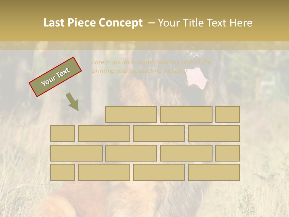 A Large Brown Dog Sitting In The Grass PowerPoint Template