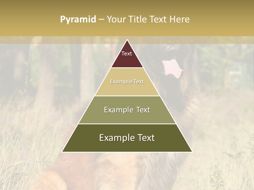 A Large Brown Dog Sitting In The Grass PowerPoint Template