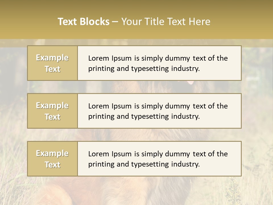 A Large Brown Dog Sitting In The Grass PowerPoint Template