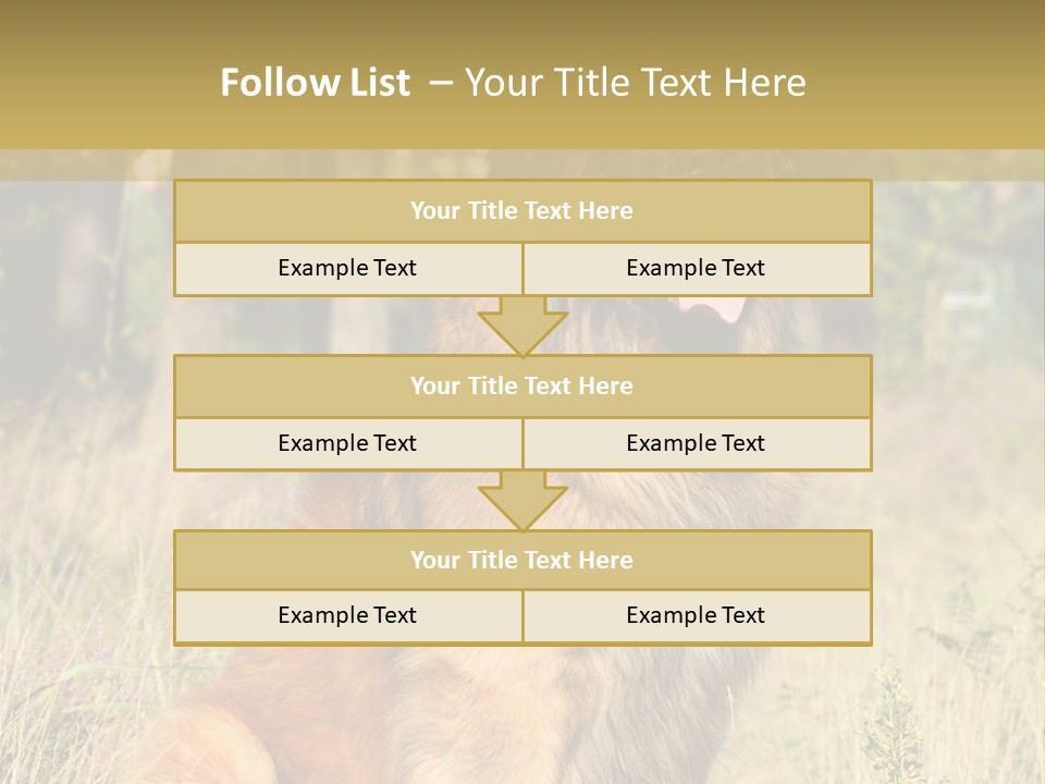 A Large Brown Dog Sitting In The Grass PowerPoint Template