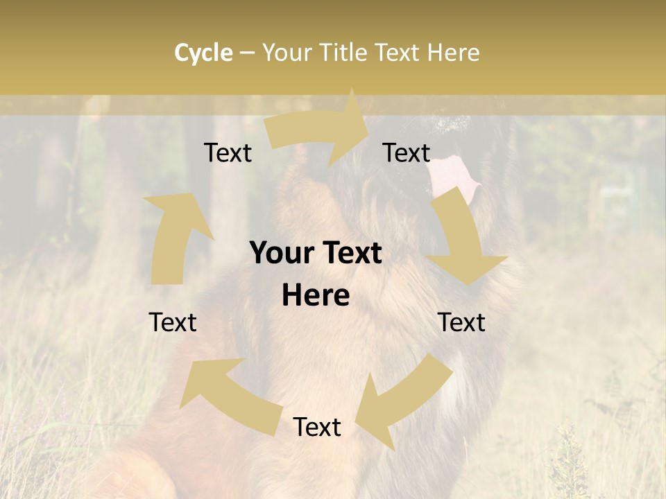 A Large Brown Dog Sitting In The Grass PowerPoint Template