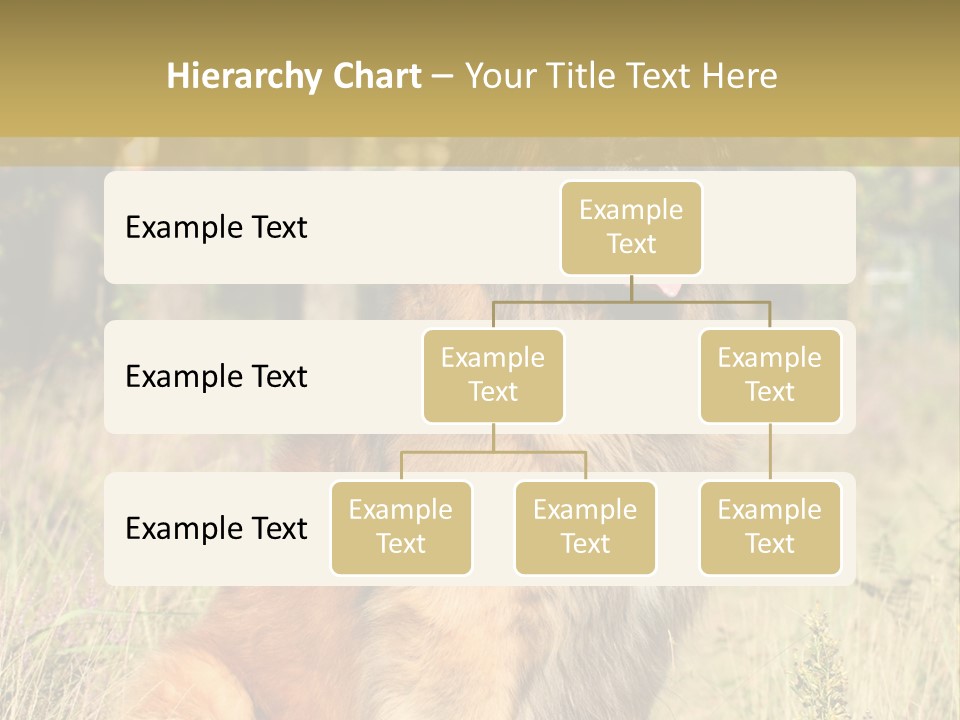 A Large Brown Dog Sitting In The Grass PowerPoint Template