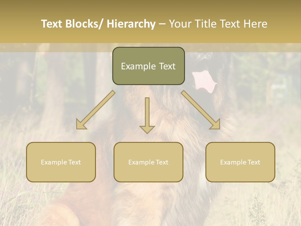 A Large Brown Dog Sitting In The Grass PowerPoint Template