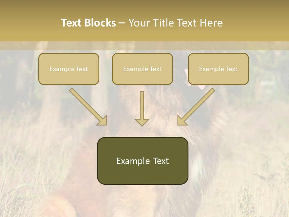 A Large Brown Dog Sitting In The Grass PowerPoint Template