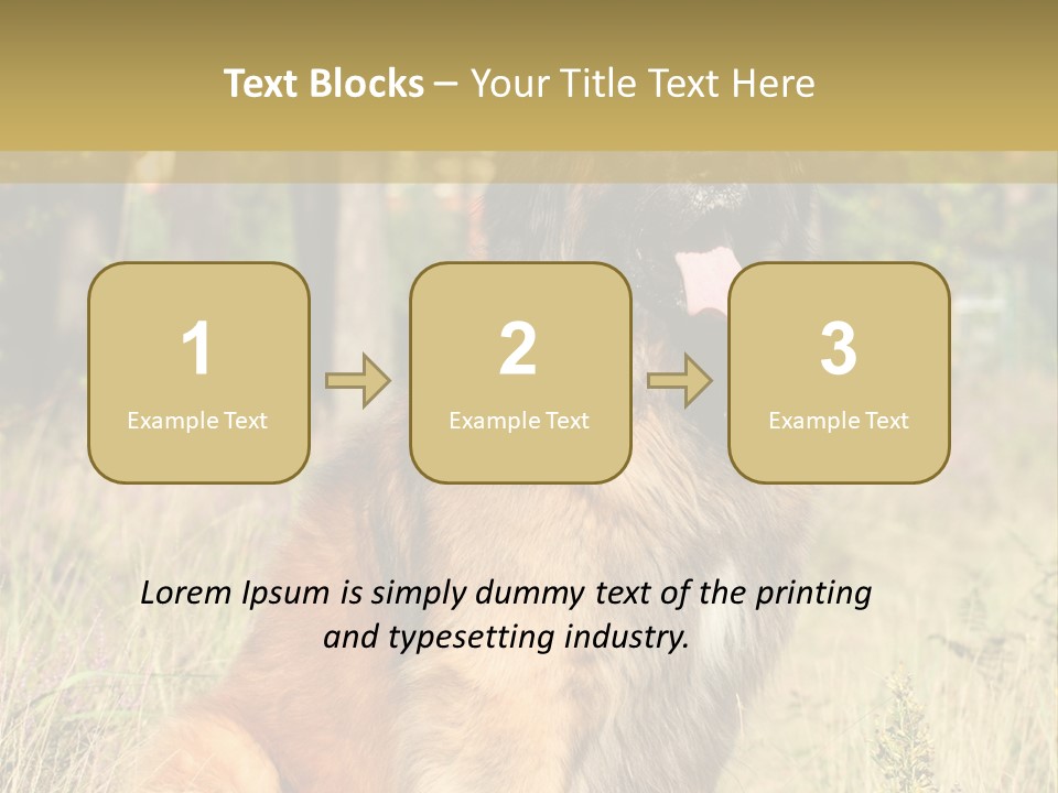 A Large Brown Dog Sitting In The Grass PowerPoint Template