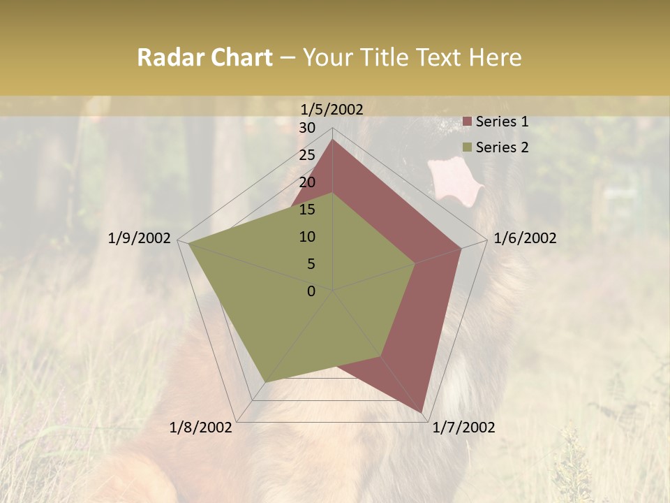 A Large Brown Dog Sitting In The Grass PowerPoint Template