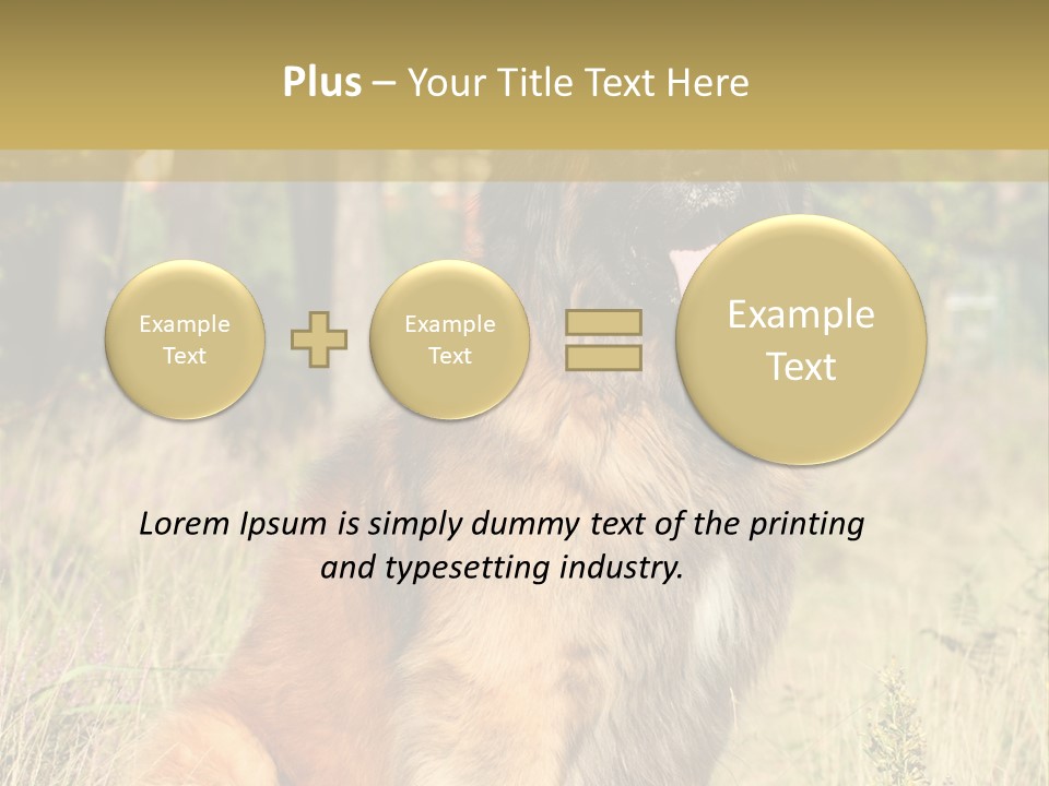 A Large Brown Dog Sitting In The Grass PowerPoint Template