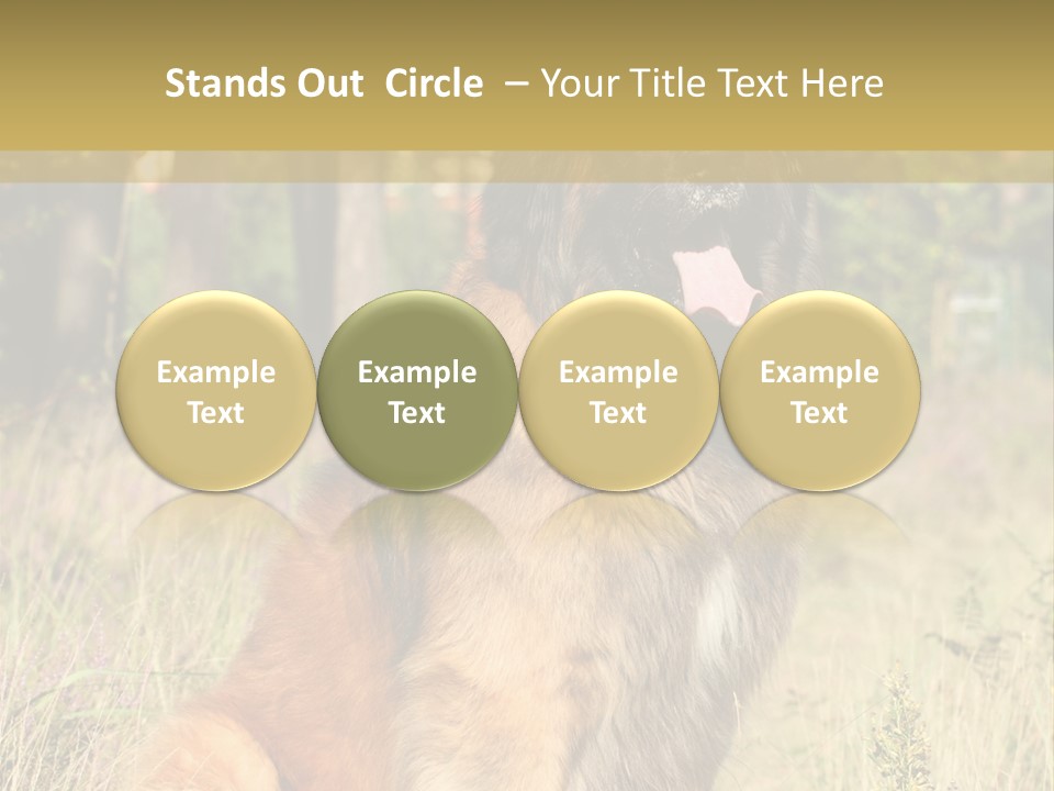 A Large Brown Dog Sitting In The Grass PowerPoint Template