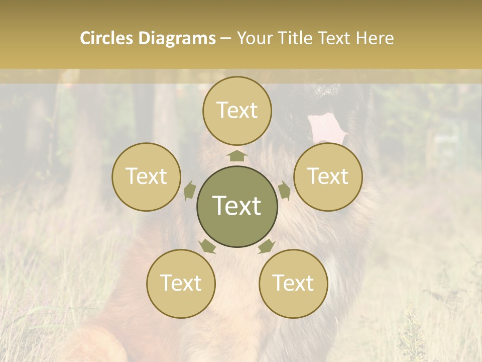 A Large Brown Dog Sitting In The Grass PowerPoint Template