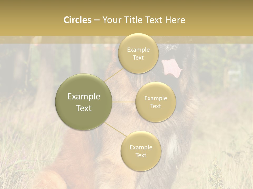 A Large Brown Dog Sitting In The Grass PowerPoint Template