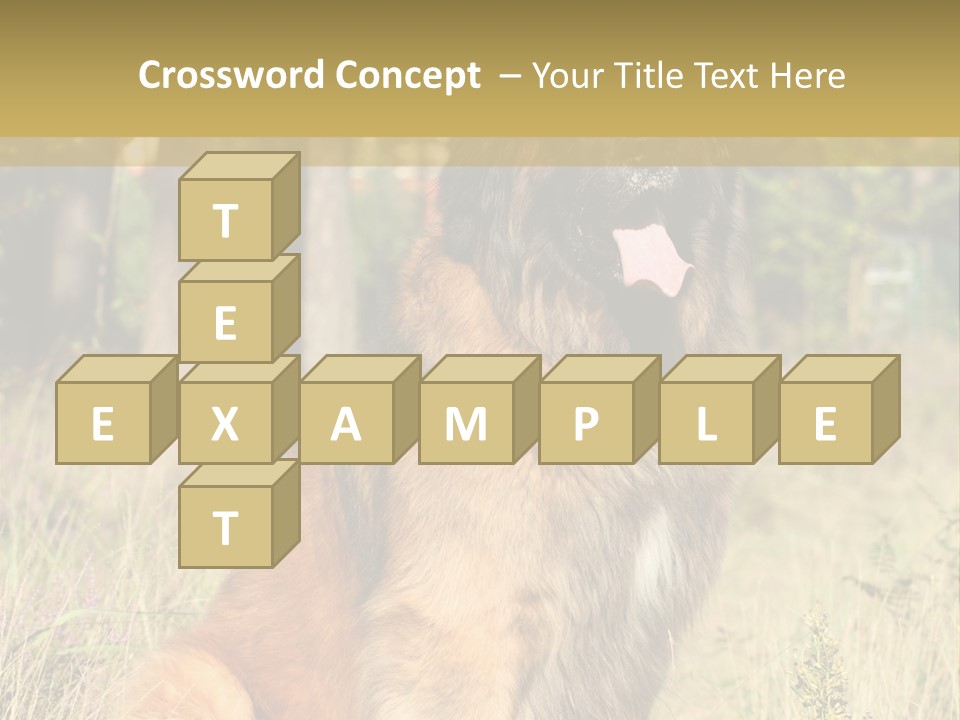 A Large Brown Dog Sitting In The Grass PowerPoint Template