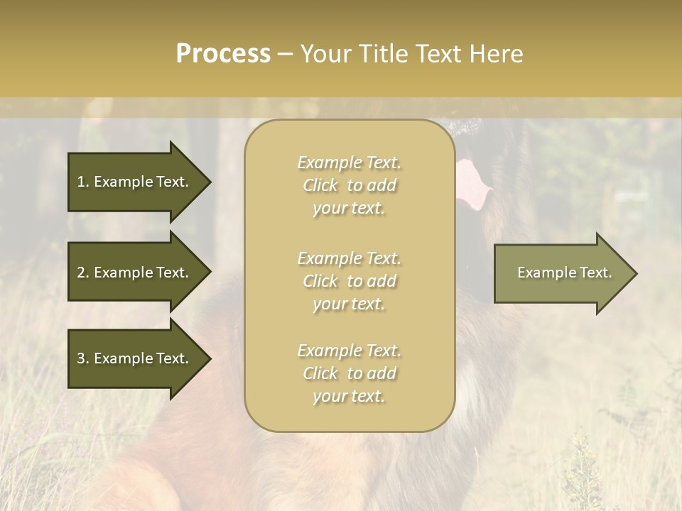 A Large Brown Dog Sitting In The Grass PowerPoint Template