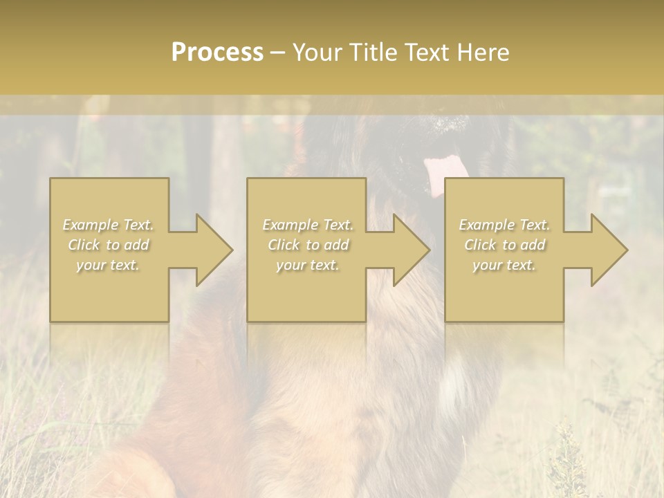 A Large Brown Dog Sitting In The Grass PowerPoint Template