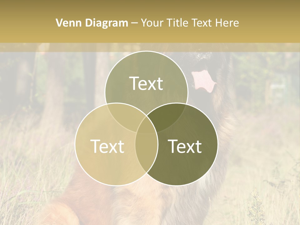 A Large Brown Dog Sitting In The Grass PowerPoint Template