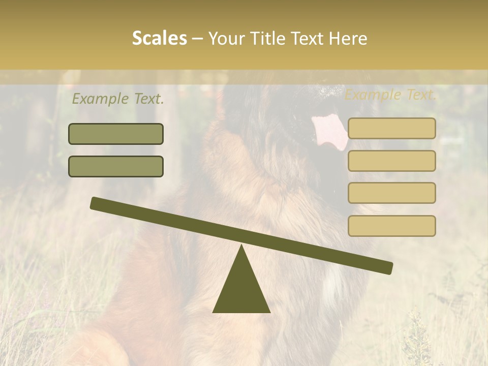 A Large Brown Dog Sitting In The Grass PowerPoint Template