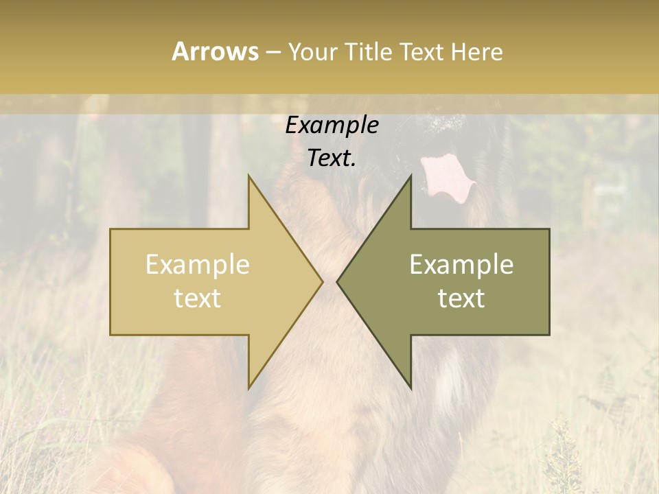 A Large Brown Dog Sitting In The Grass PowerPoint Template