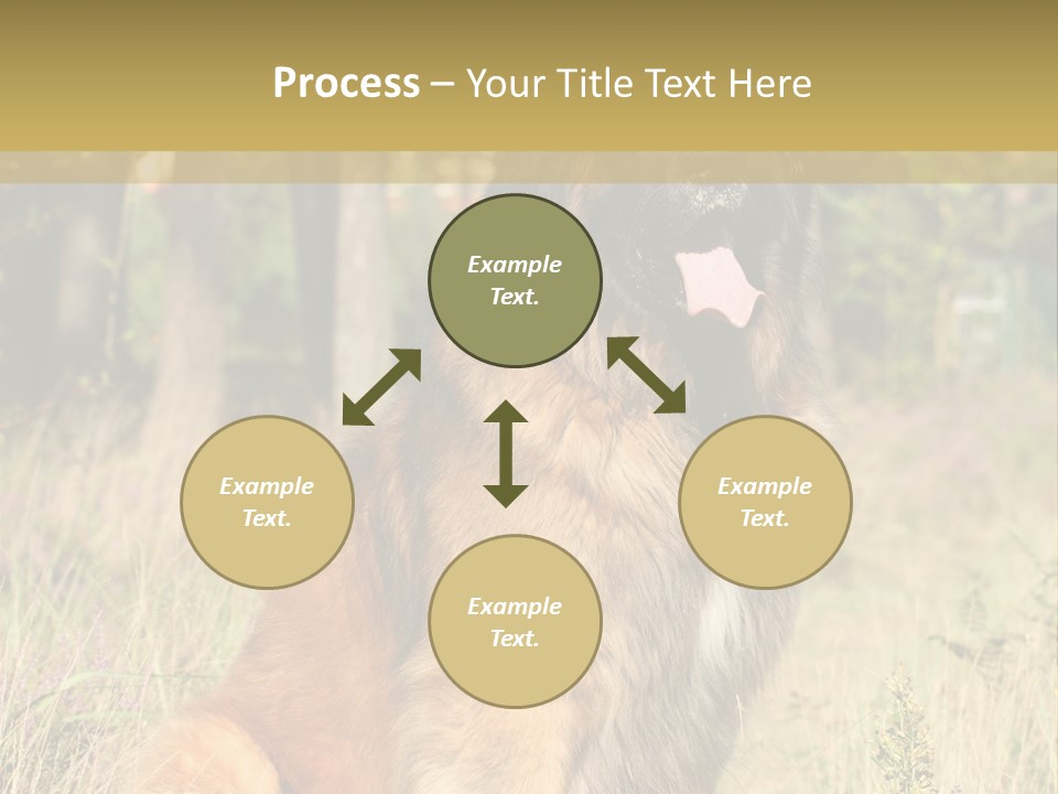 A Large Brown Dog Sitting In The Grass PowerPoint Template