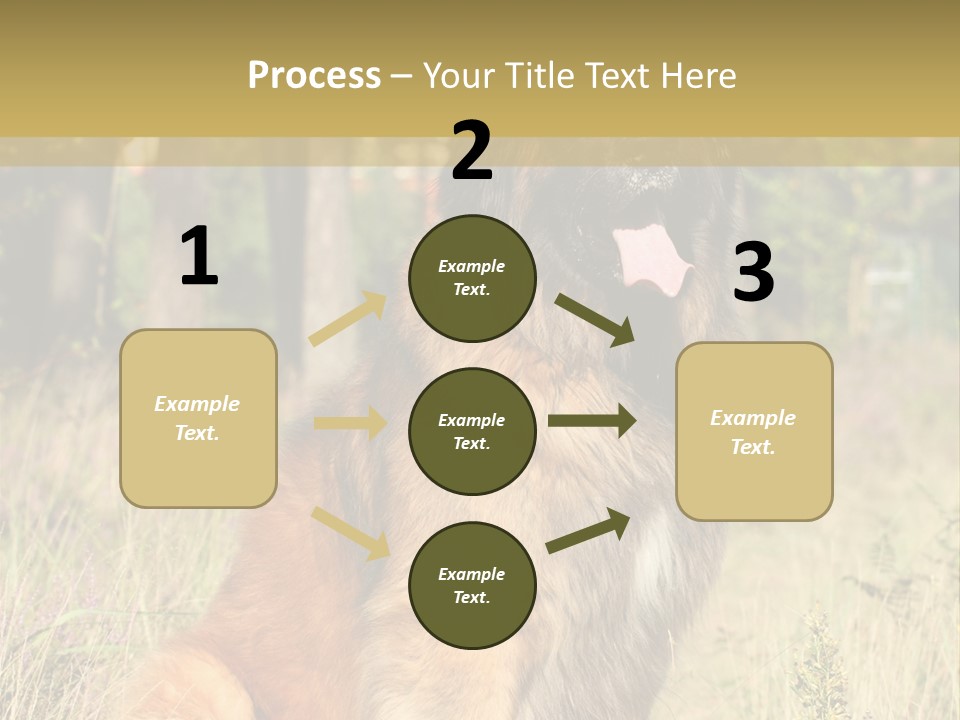 A Large Brown Dog Sitting In The Grass PowerPoint Template