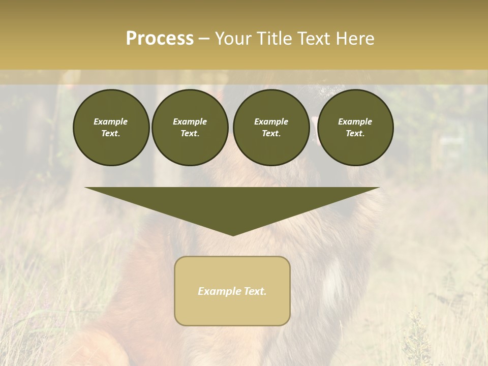 A Large Brown Dog Sitting In The Grass PowerPoint Template