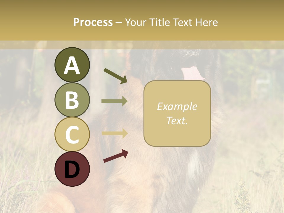 A Large Brown Dog Sitting In The Grass PowerPoint Template