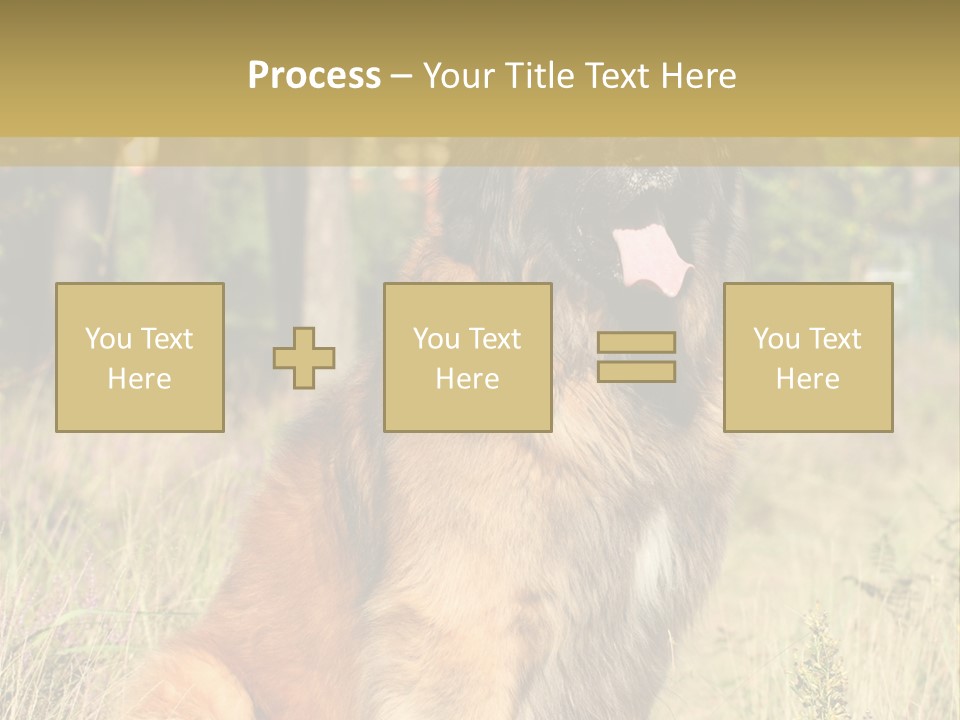 A Large Brown Dog Sitting In The Grass PowerPoint Template