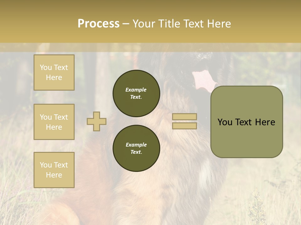 A Large Brown Dog Sitting In The Grass PowerPoint Template