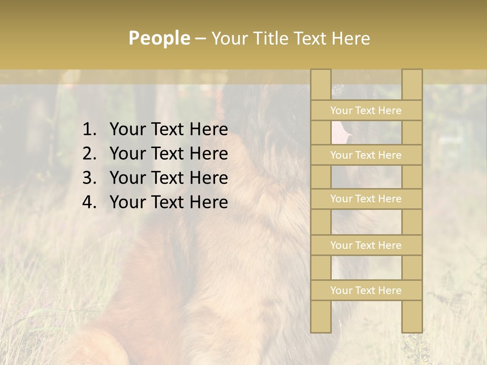 A Large Brown Dog Sitting In The Grass PowerPoint Template