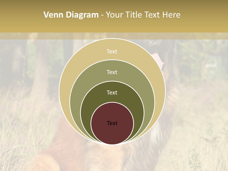 A Large Brown Dog Sitting In The Grass PowerPoint Template