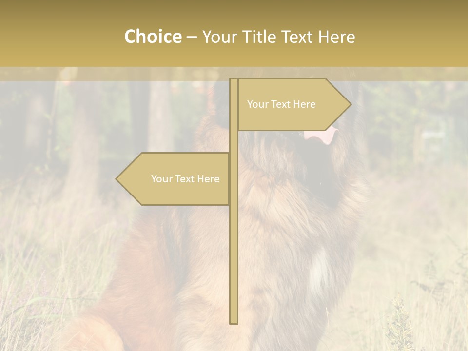 A Large Brown Dog Sitting In The Grass PowerPoint Template